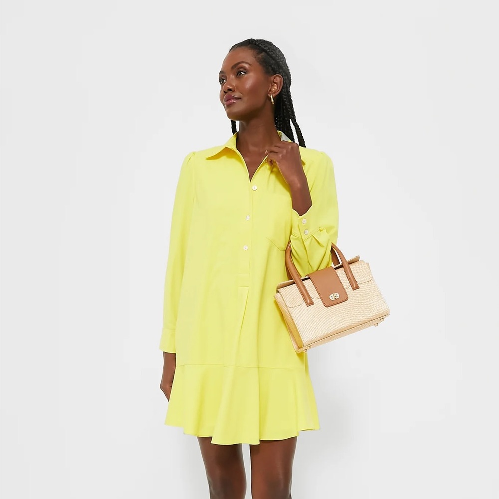 NWT Tuckernuck Callahan Shirt Dress